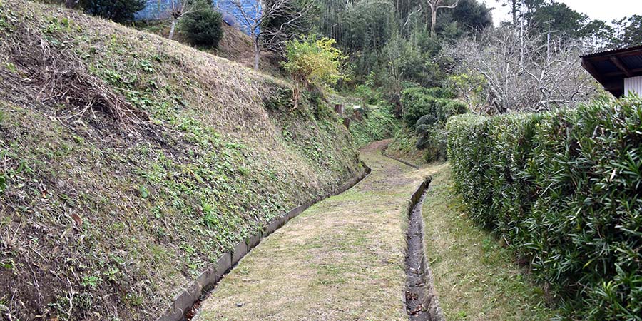 稲村城