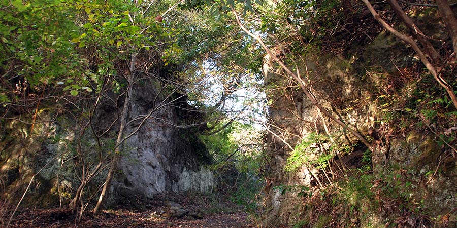 金山城