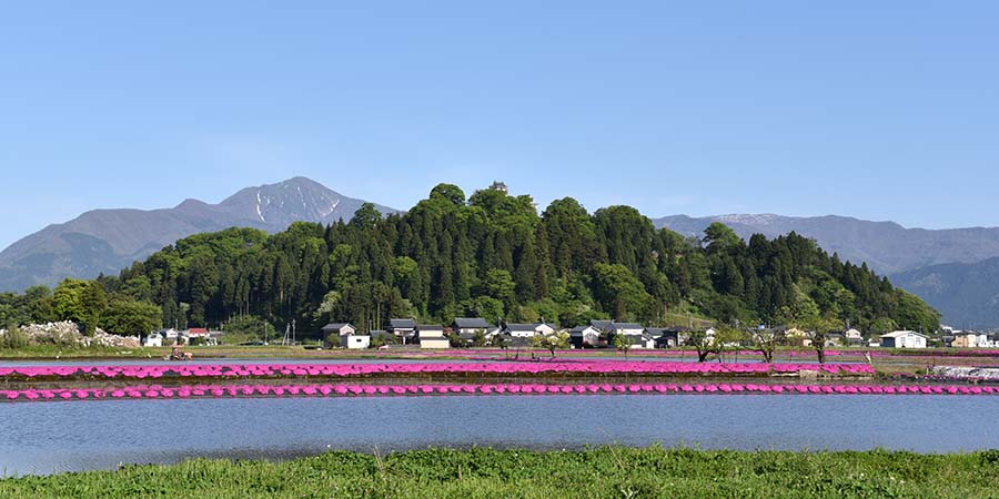 越前大野城