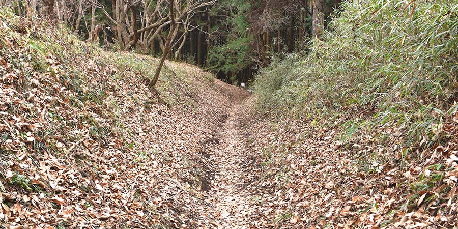 岩櫃城