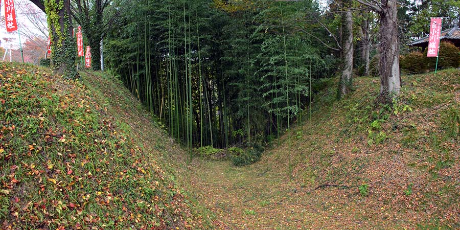 小川城