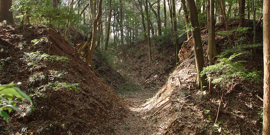 小幡城