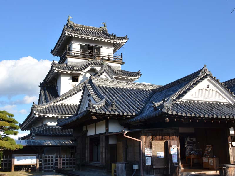 image-1