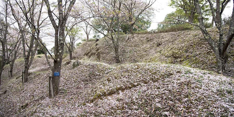 猪崎城