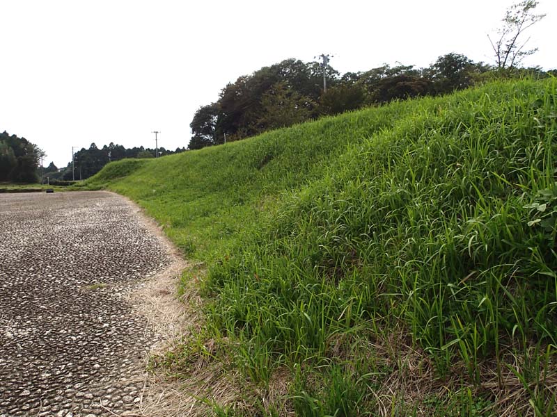 image-1
