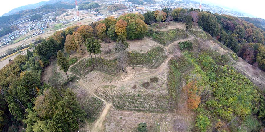 杉山城