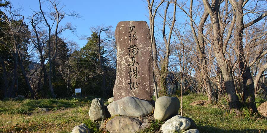 蒲原城