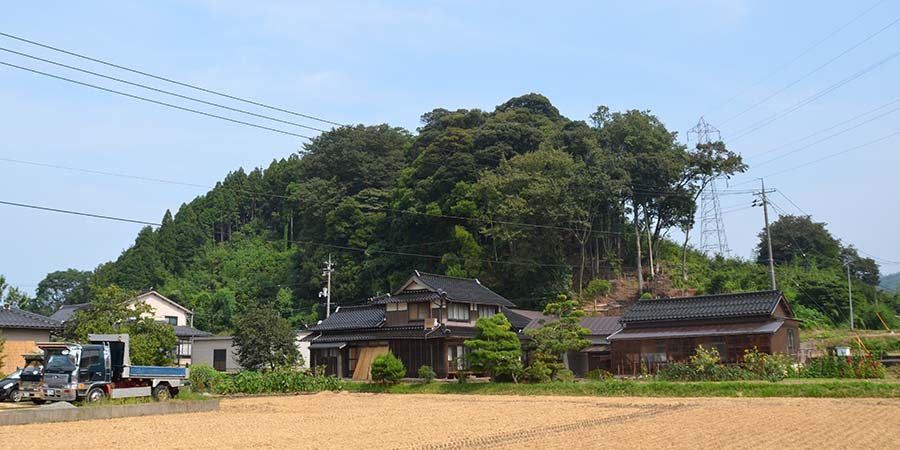 丸山城