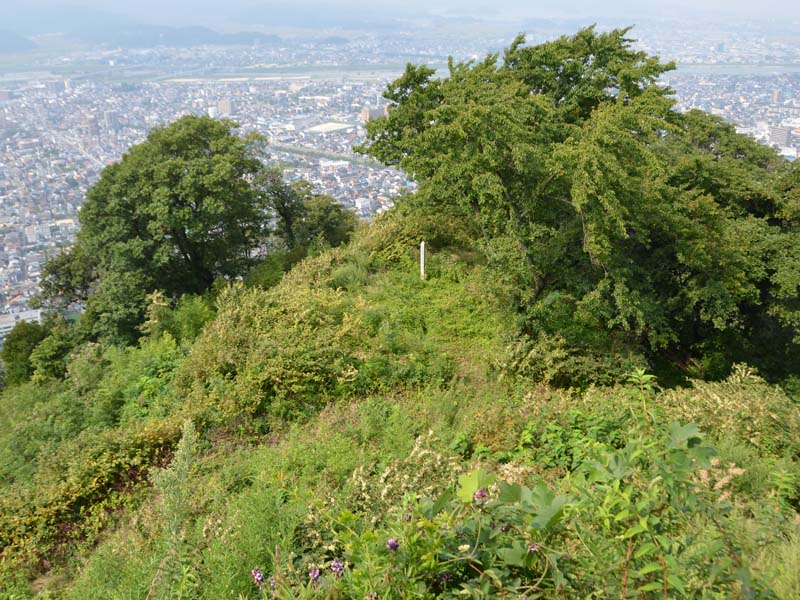 image-1