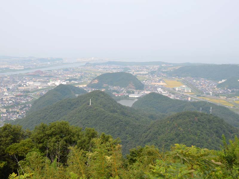 image-1