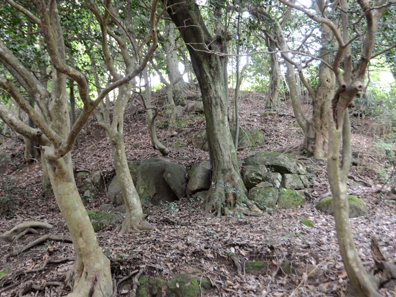 image-1