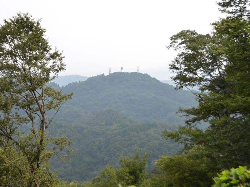 image-1