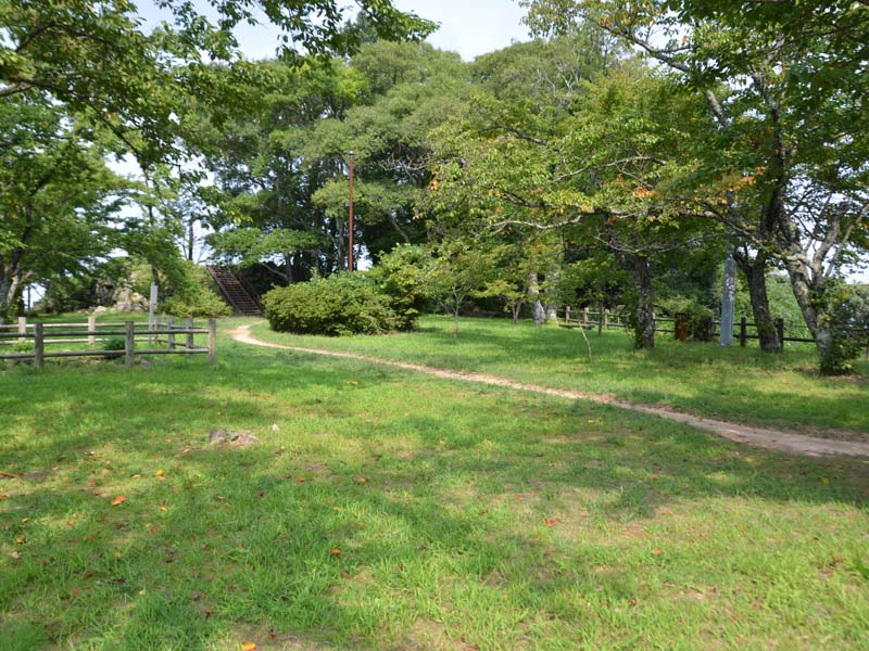 image-1