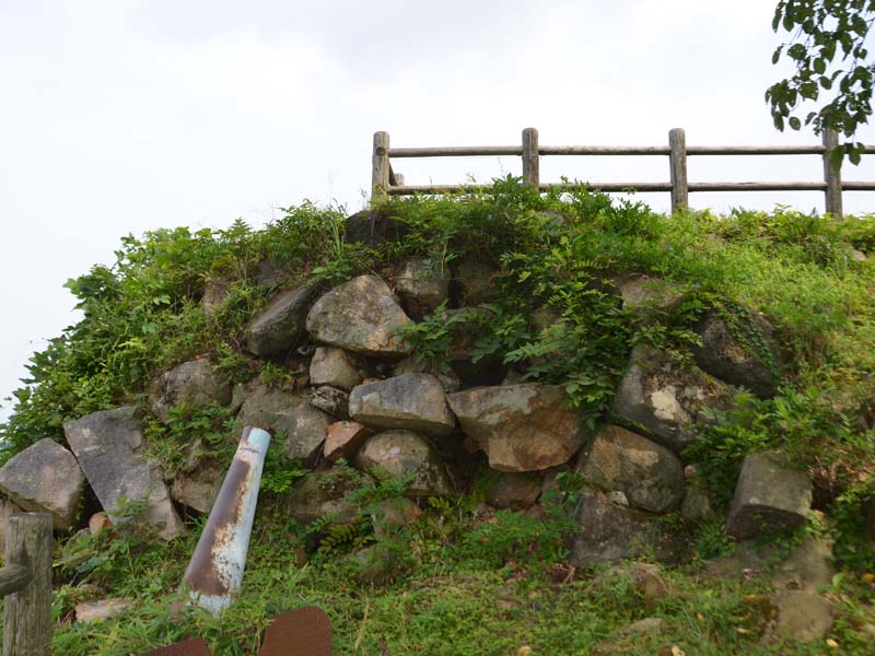 image-1