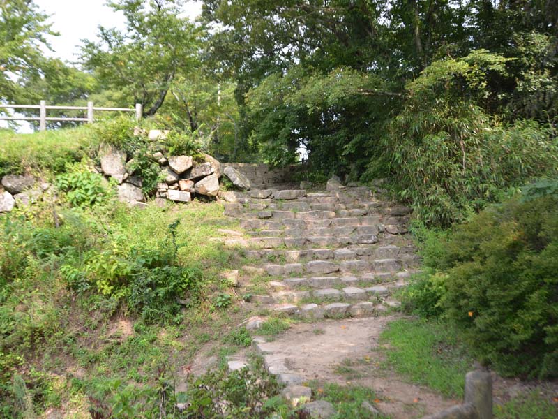 image-1