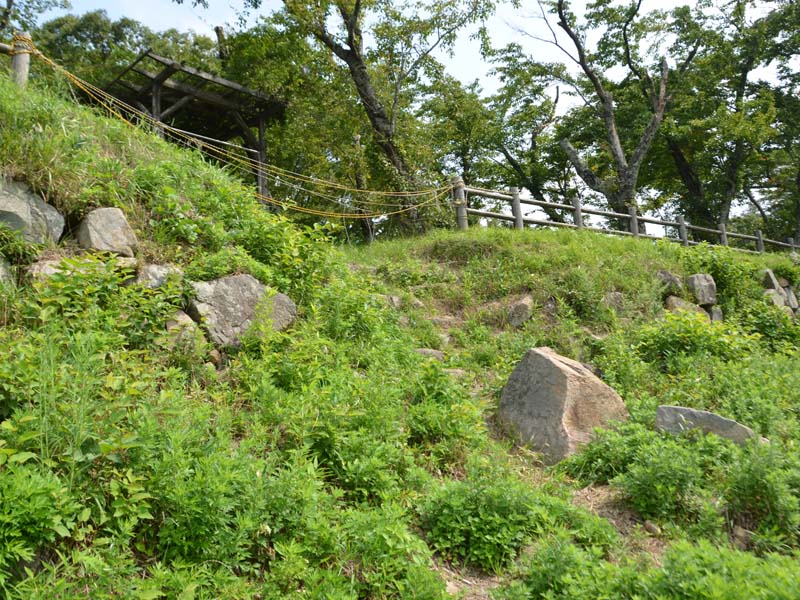 image-1