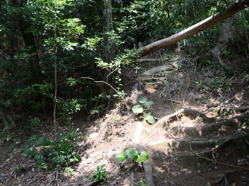 image-1