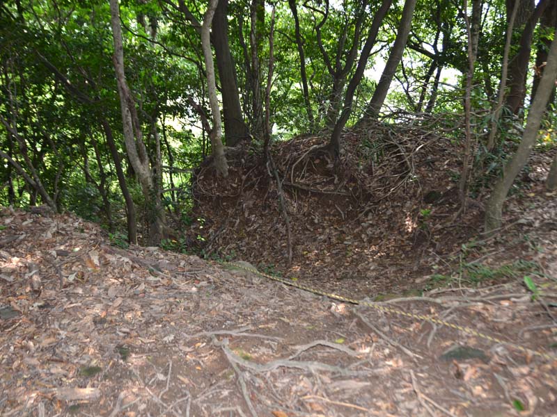 image-1