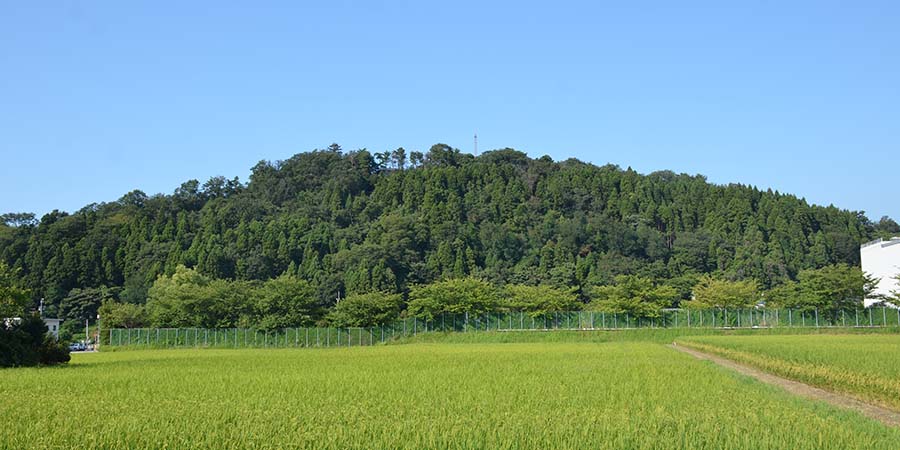 天神山城