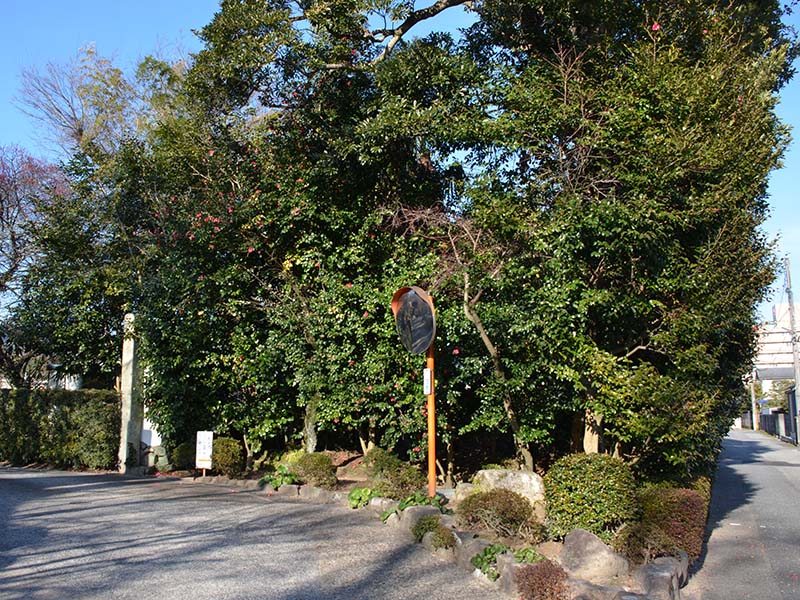 image-1